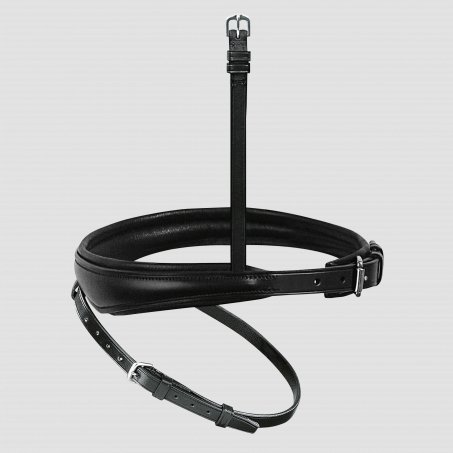 Exchangeable Anatomically-Formed Flash Noseband