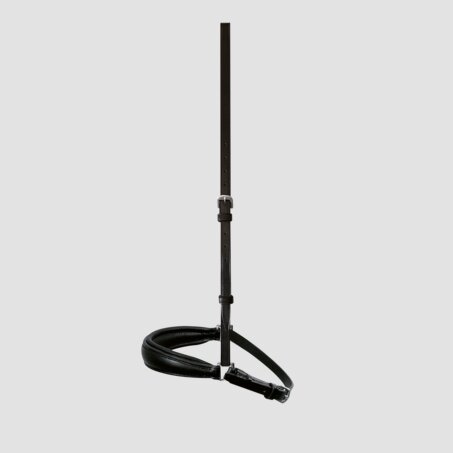 Dropped Noseband