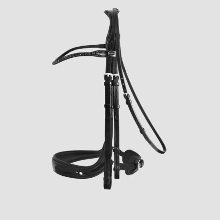 Moonlight Double Bridle