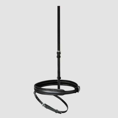 Englisch kombiniertes Reithalfter