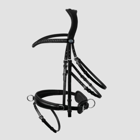 Lunging Bridle