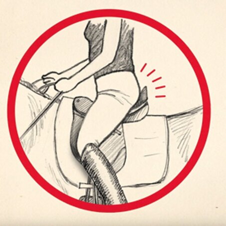 Soft saddles – by Passier, naturally!
