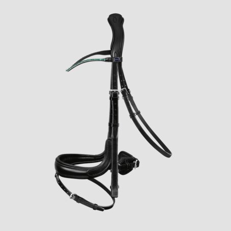 Fantastic Snaffle Bridle